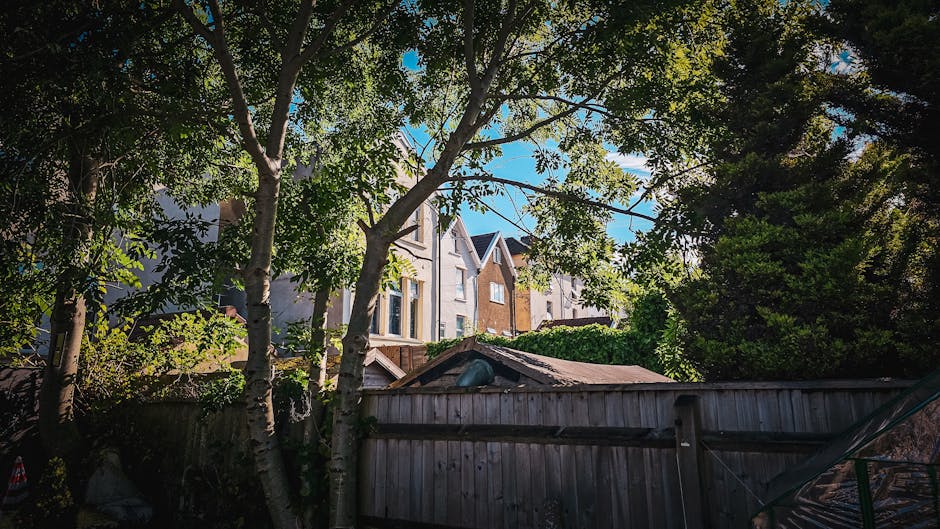 A view from a backyard garden showing a weathered wooden fence with a slightly uneven top edge, partially obscured by overhanging branches of a large deciduous tree with light-colored bark, green leaves, and a textured canopy. Behind the fence, there is a small shed with a rusted, corrugated metal roof that appears weathered and slightly discolored, with a dark object or vent protruding from the roof's apex. Beyond the shed, there are multiple modern residential buildings with light-colored facades and large windows, arranged in a terraced pattern on a gentle slope. The image is taken during daylight, with a partly cloudy sky allowing sunlight to filter through the foliage, casting dappled shadows on the fence and shed. The scene is surrounded by greenery, including bushes and trees, contributing to a natural setting that might require occasional rubbish clearance or private waste handling, in line with professional house clearance services.
