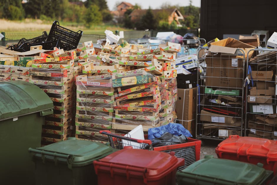 An outdoor scene featuring a large pile of flattened cardboard boxes and packaging materials, including branded fruit cartons, stacked on the ground in front of a residential area with trees and houses in the background. To the right, there are metal wire cages filled with various boxed goods and packaging supplies, some open and with contents visible, such as small boxes and packaging materials. Several large, coloured plastic waste bins with lids, in shades of green, red, and black, are positioned in the foreground, partially obscuring the view. The environment appears to be a private property or commercial space designated for rubbish collection or disposal, with evident waste materials ready for hauling by a professional waste removal service like House Clearance Tooting. The scene is illuminated by natural daylight, highlighting the textures of cardboard, plastic, and metal, providing a clear depiction of a typical private rubbish collection setup, aligned with alternative waste handling activities.
